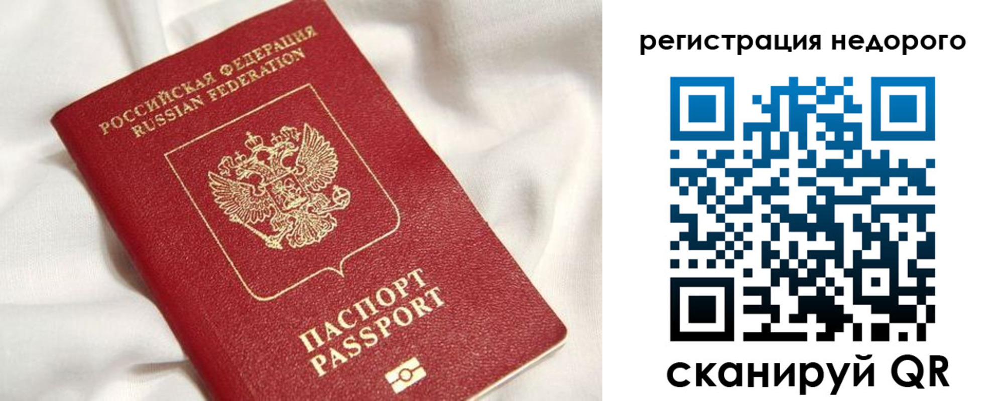 прописка поиск в Светлом